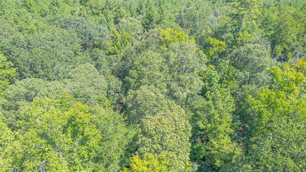 Tbd Hereford Trail Property Photo 14