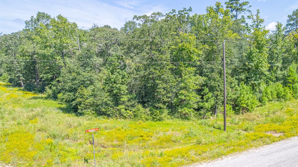 Tbd Hereford Trail Property Photo 15