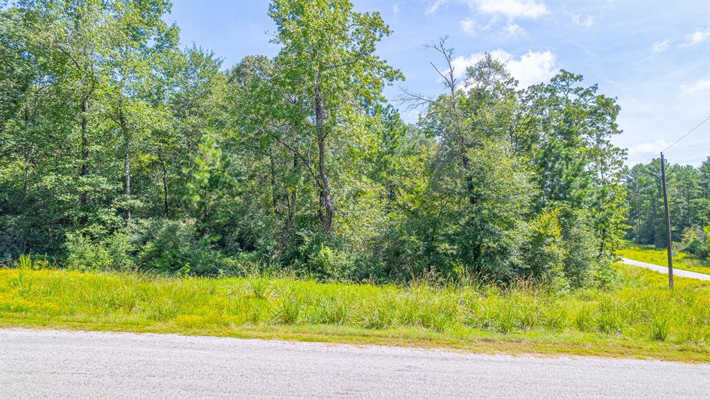 Tbd Hereford Trail Property Photo 16