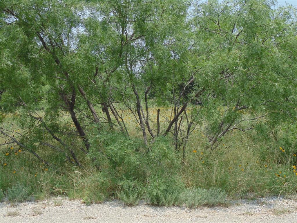 Tbd Oak Hollow Drive Property Photo 3