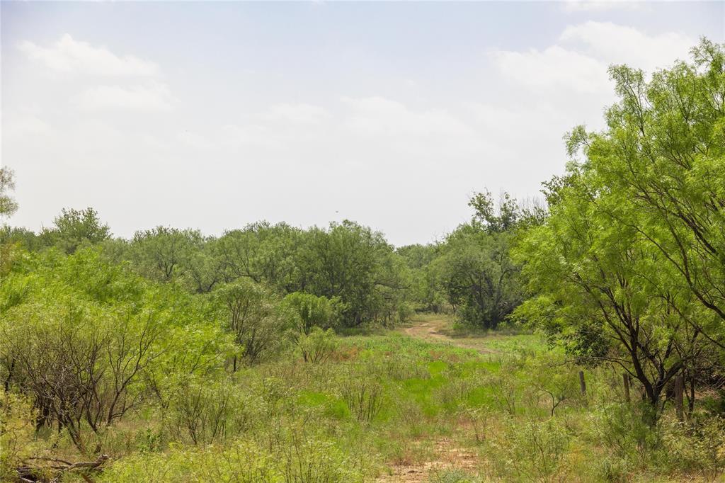 14426 County Road 211 Property Photo 35