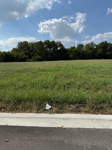 TBD LOT 8 E Columbus Street Property Photo 1