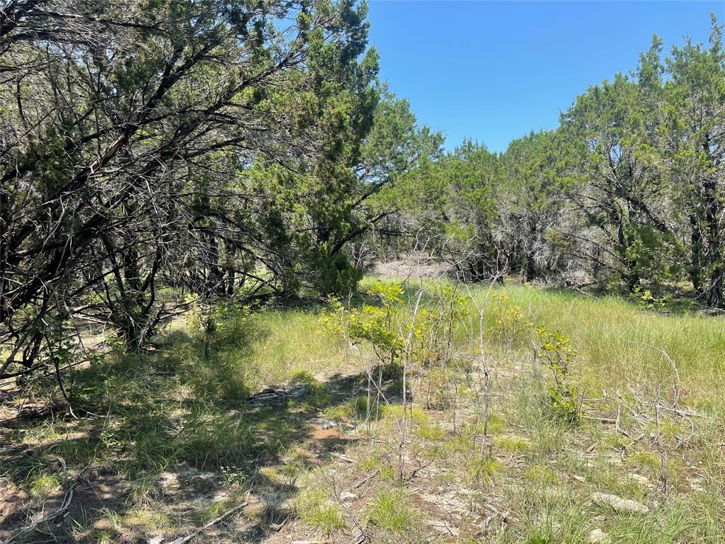 6121 Castle Stuart Drive Property Photo 4