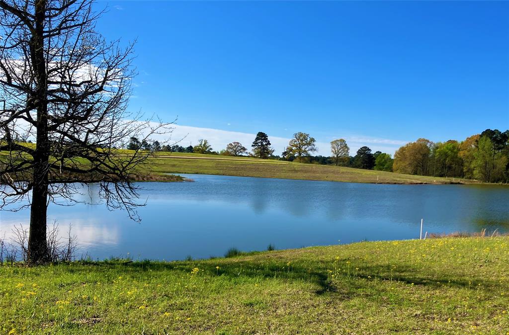 Lot 49 White Oak Property Photo