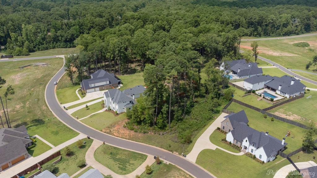 0 W Pointe Loop Property Photo 3