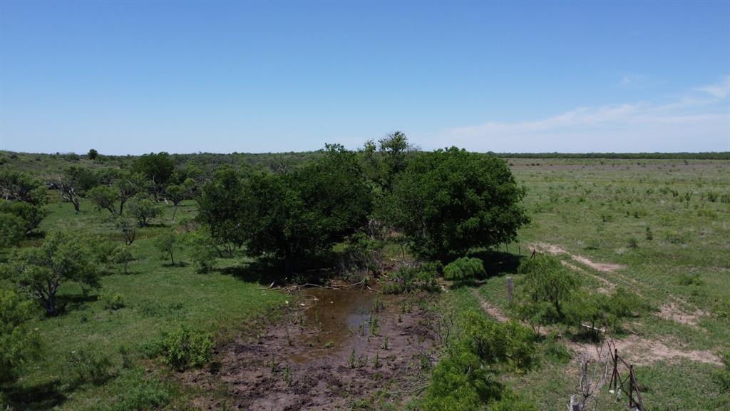 Tbd County Road 275 Property Photo 14