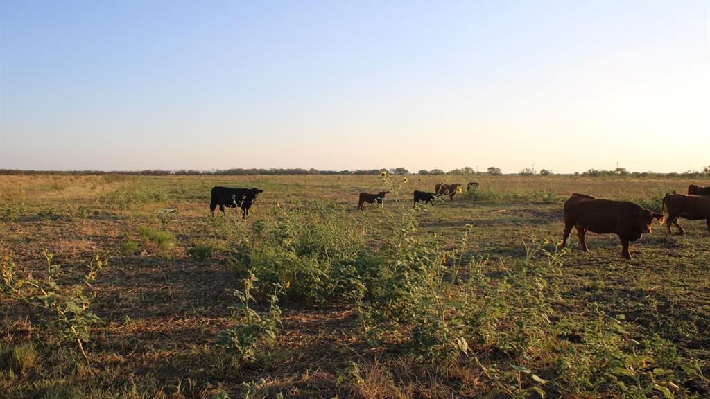 Tbd County Road 275 Property Photo 15