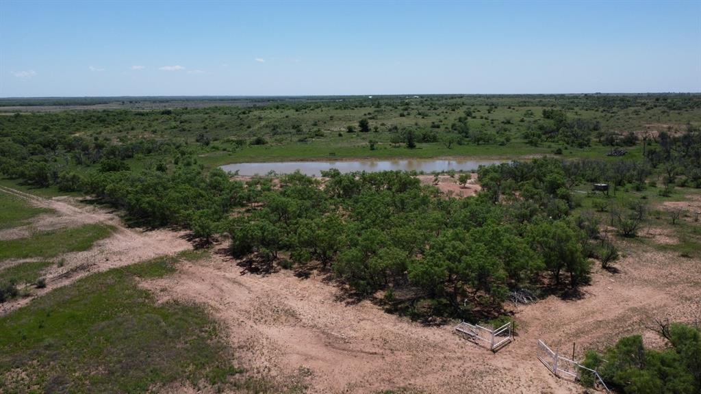 Tbd County Road 275 Property Photo 20