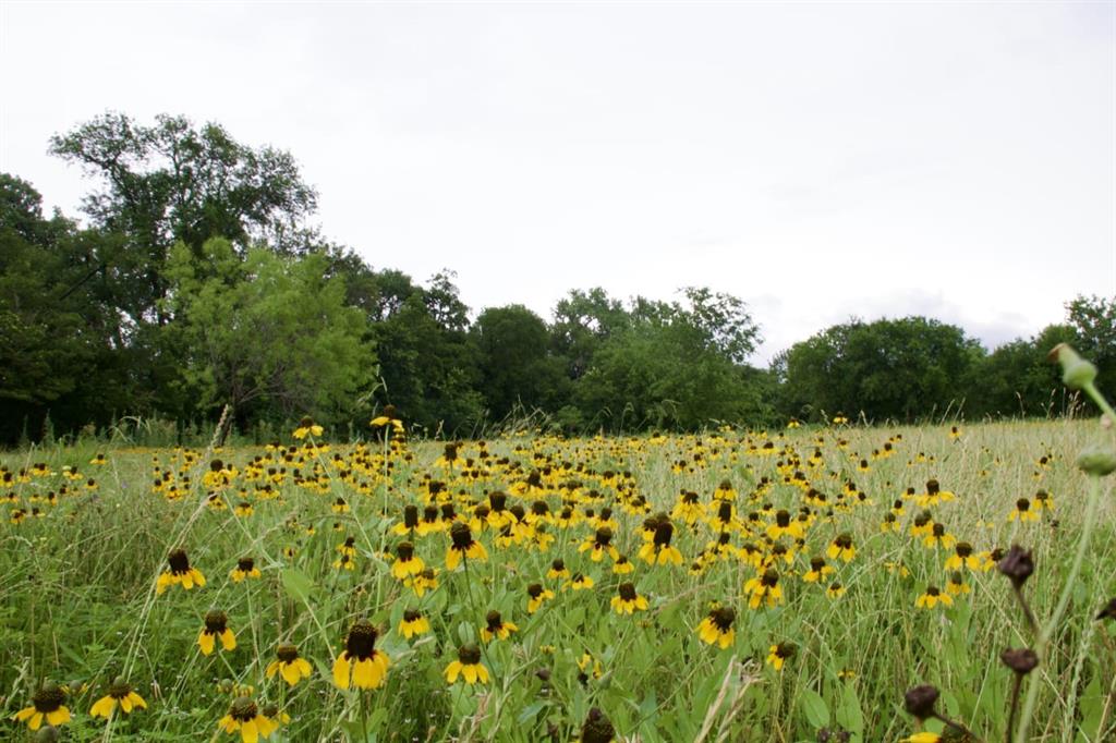 8151 Randol Mill Road Property Photo 15