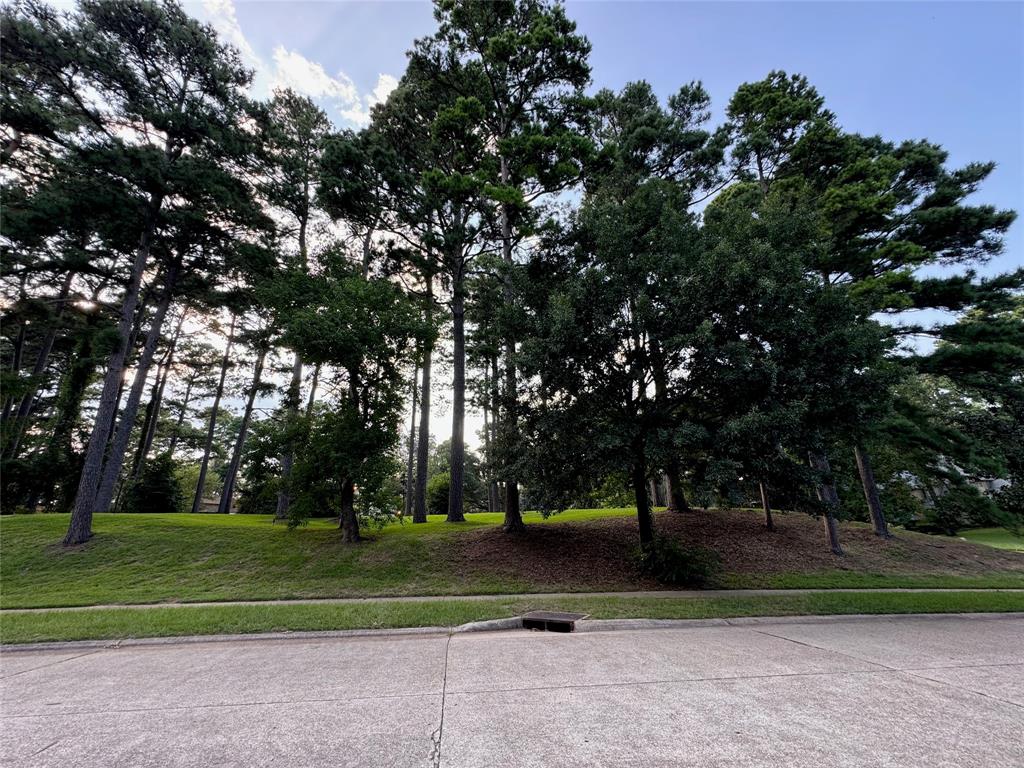 0 Loch Ridge Drive Property Photo 2