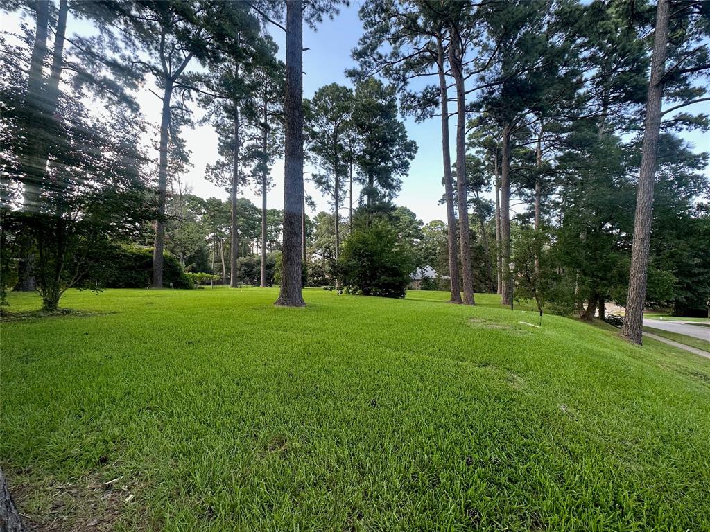 0 Loch Ridge Drive Property Photo 5