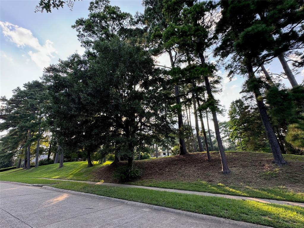 0 Loch Ridge Drive Property Photo 8