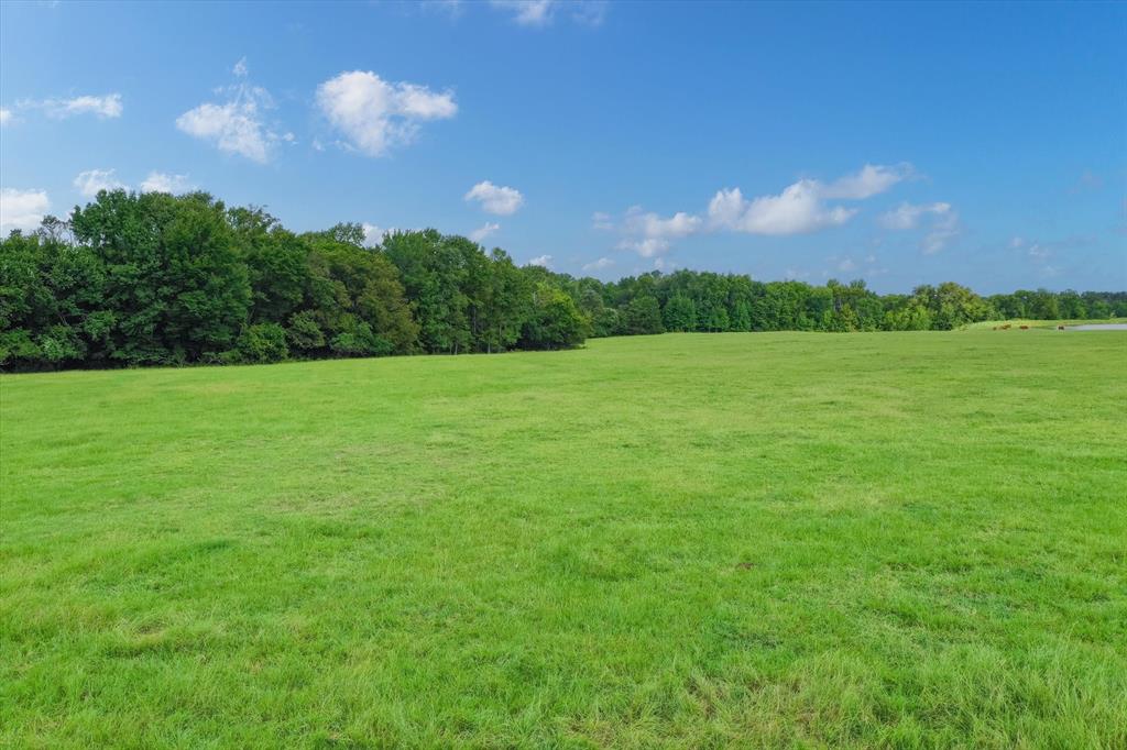 100 (+/-) Acres Fm 773 Property Photo 8