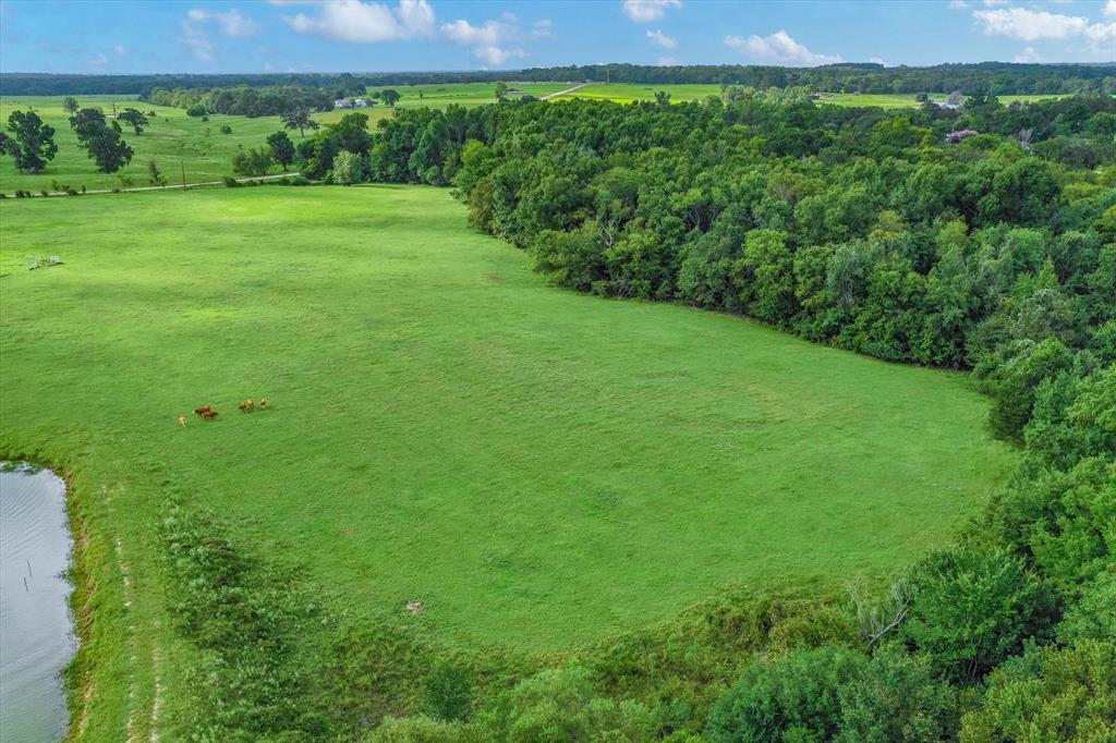 100 (+/-) Acres Fm 773 Property Photo 10
