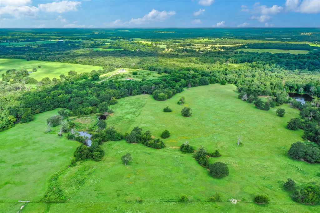 100 (+/-) Acres Fm 773 Property Photo 12