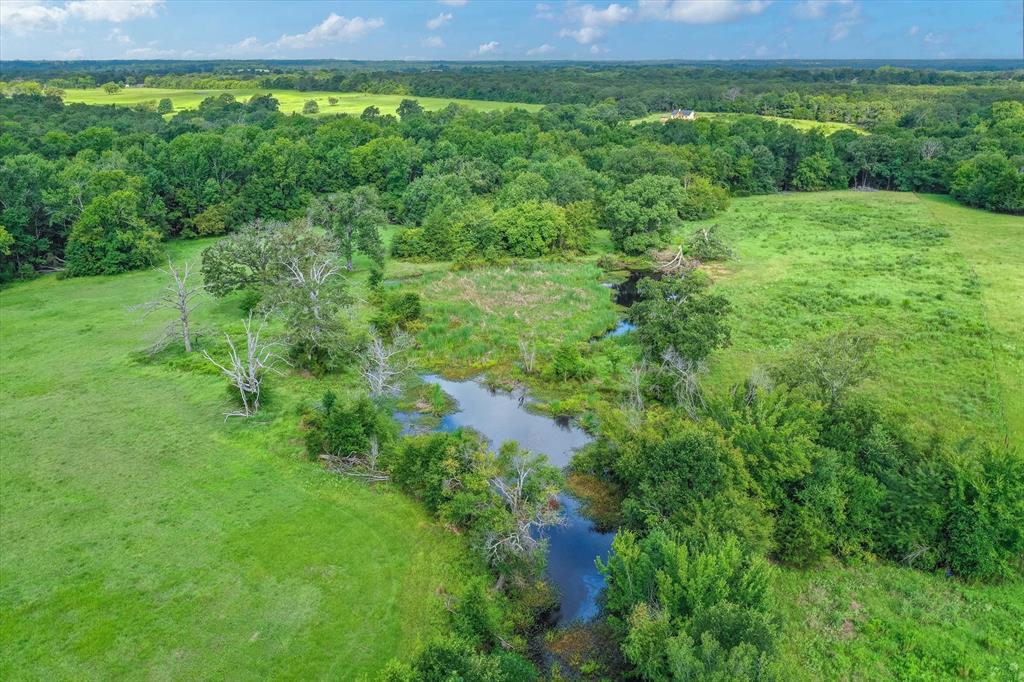 100 (+/-) Acres Fm 773 Property Photo 13