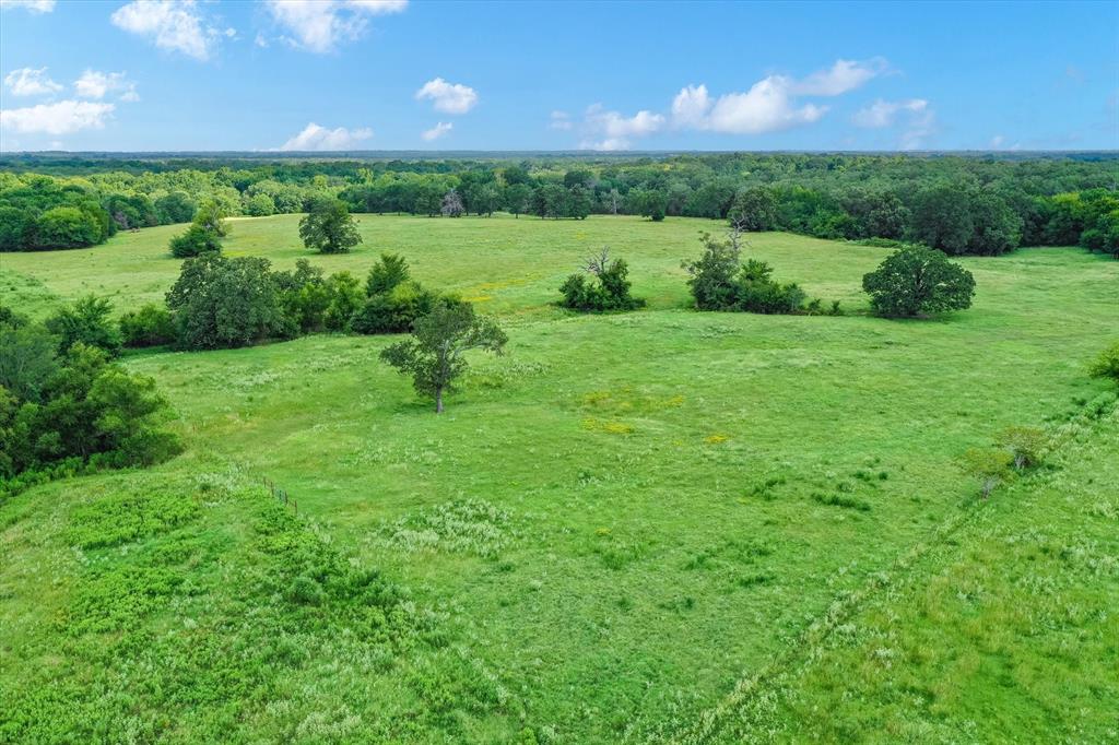 100 (+/-) Acres Fm 773 Property Photo 15