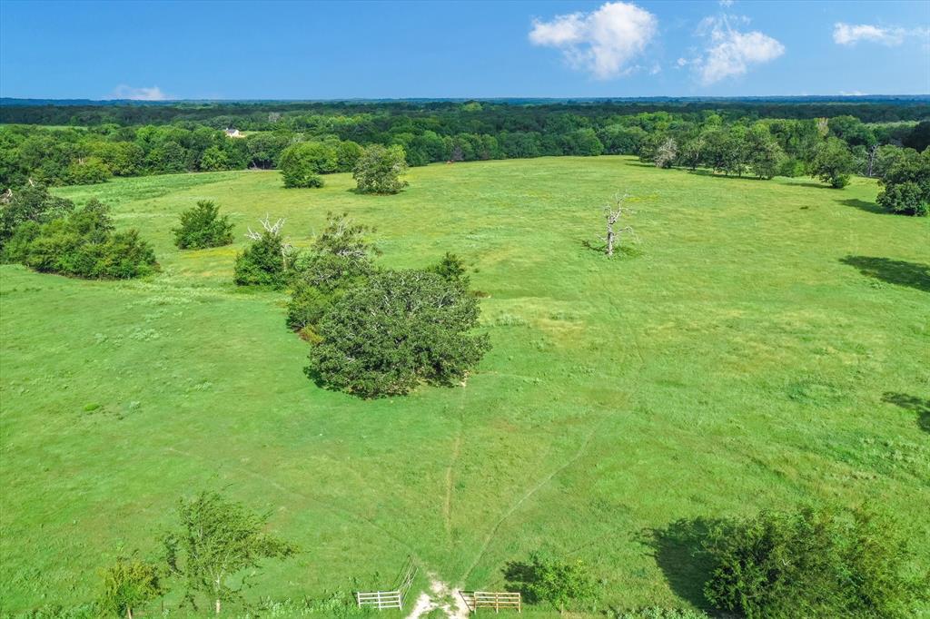 100 (+/-) Acres Fm 773 Property Photo 16