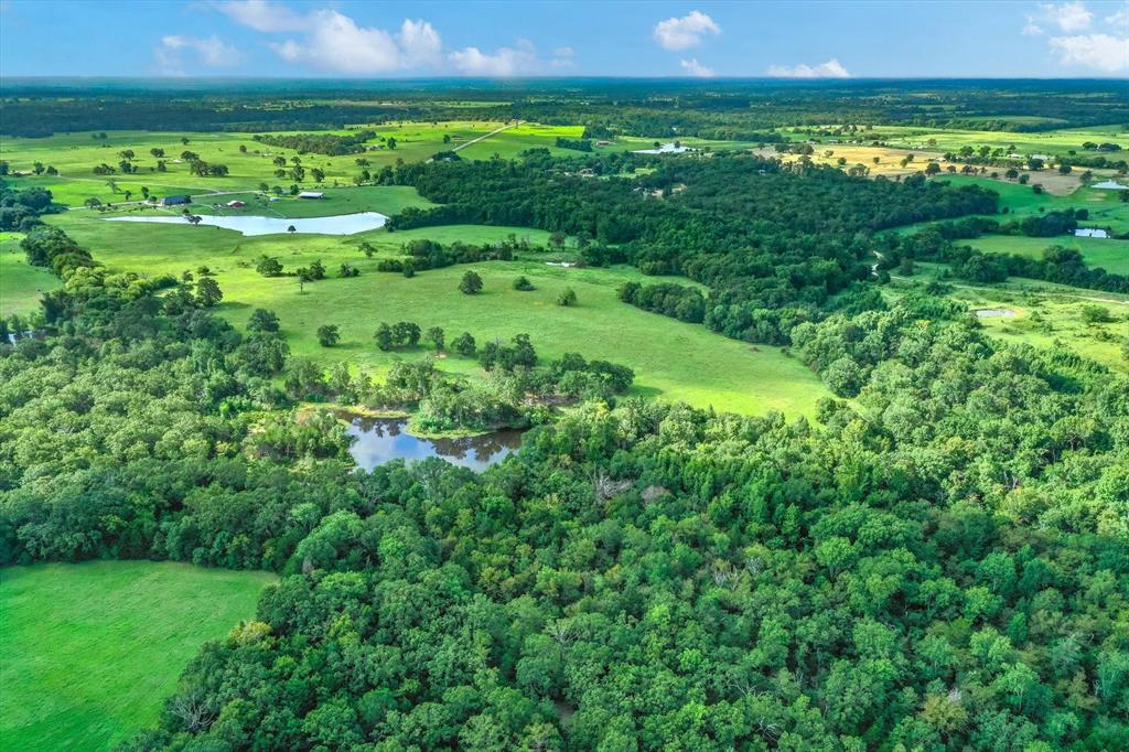 100 (+/-) Acres Fm 773 Property Photo 18