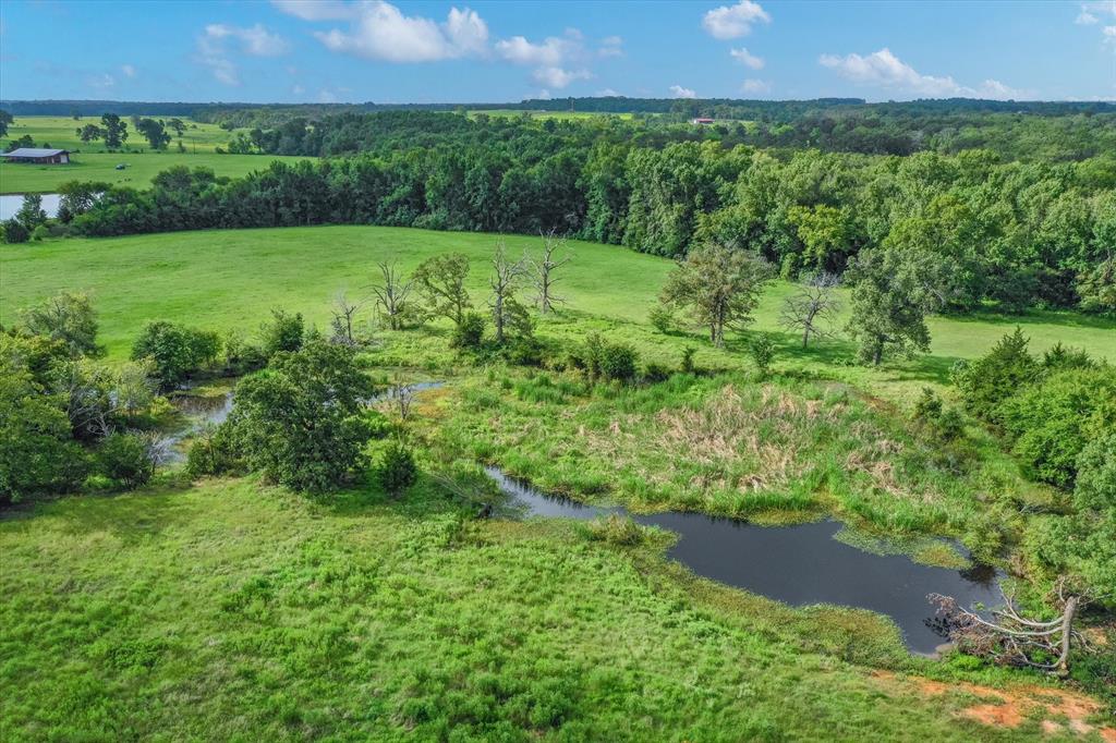 100 (+/-) Acres Fm 773 Property Photo 19