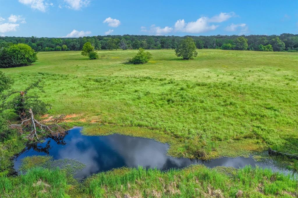 100 (+/-) Acres Fm 773 Property Photo 20