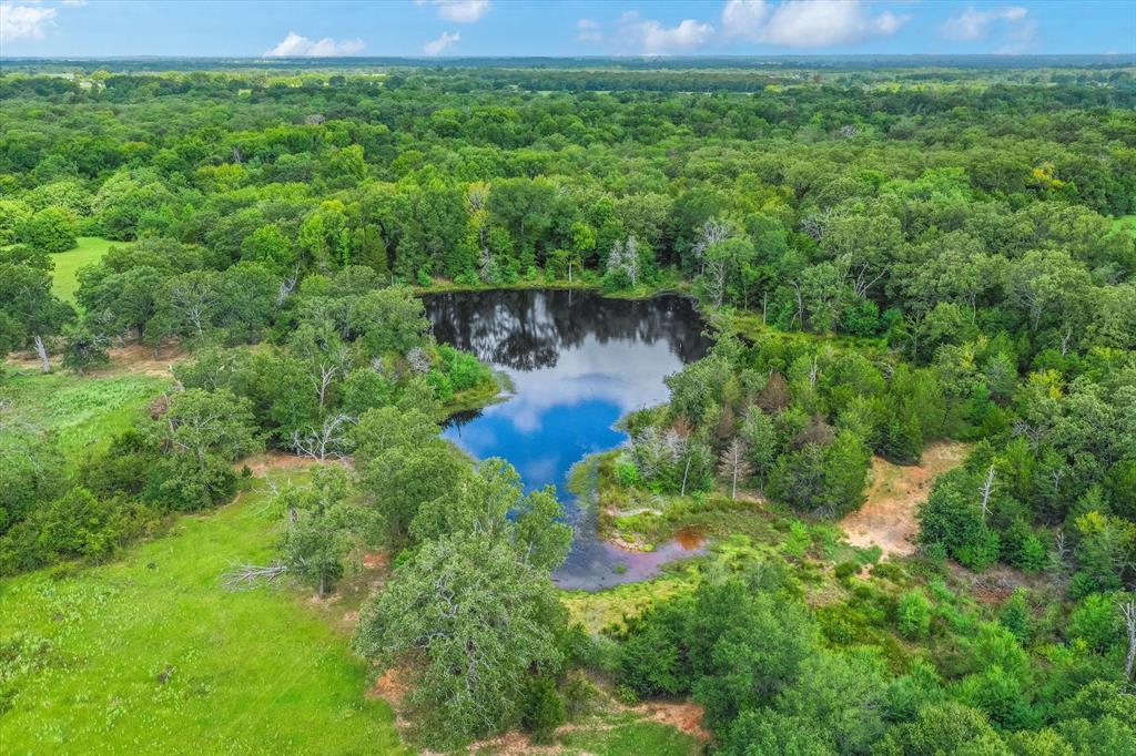 100 (+/-) Acres Fm 773 Property Photo 21