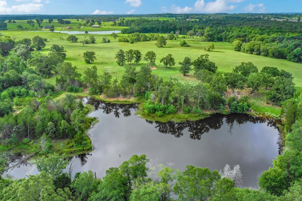 100 (+/-) Acres Fm 773 Property Photo 25