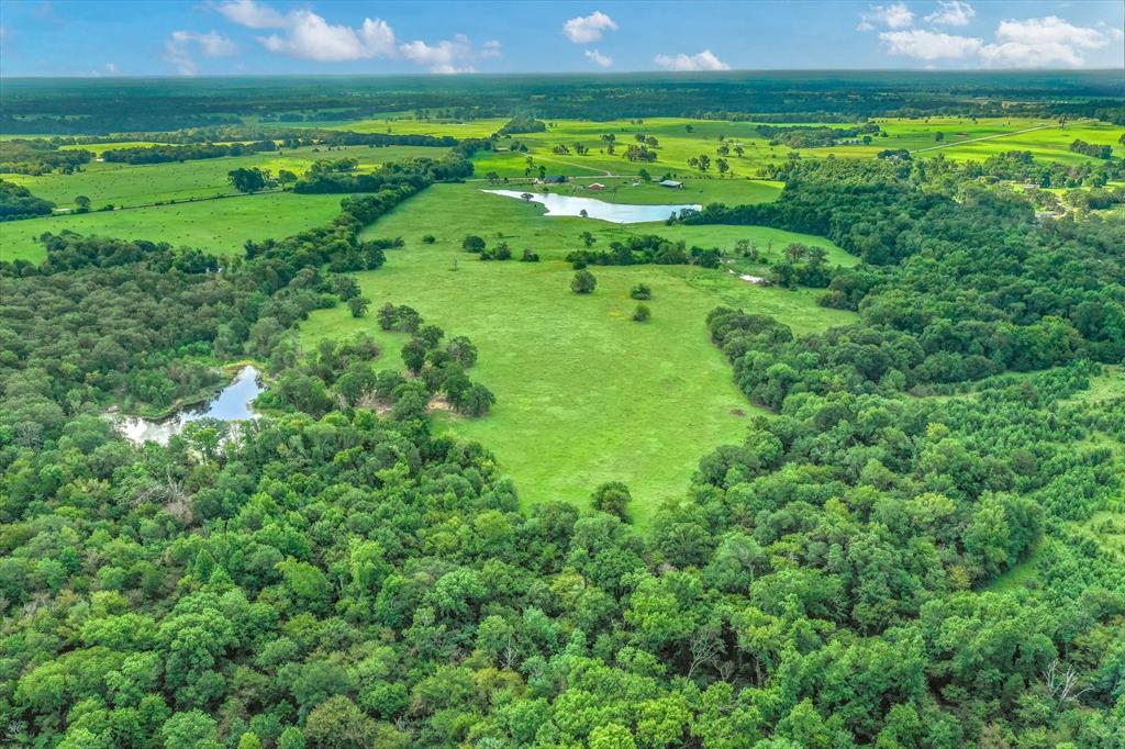 100 (+/-) Acres Fm 773 Property Photo 26
