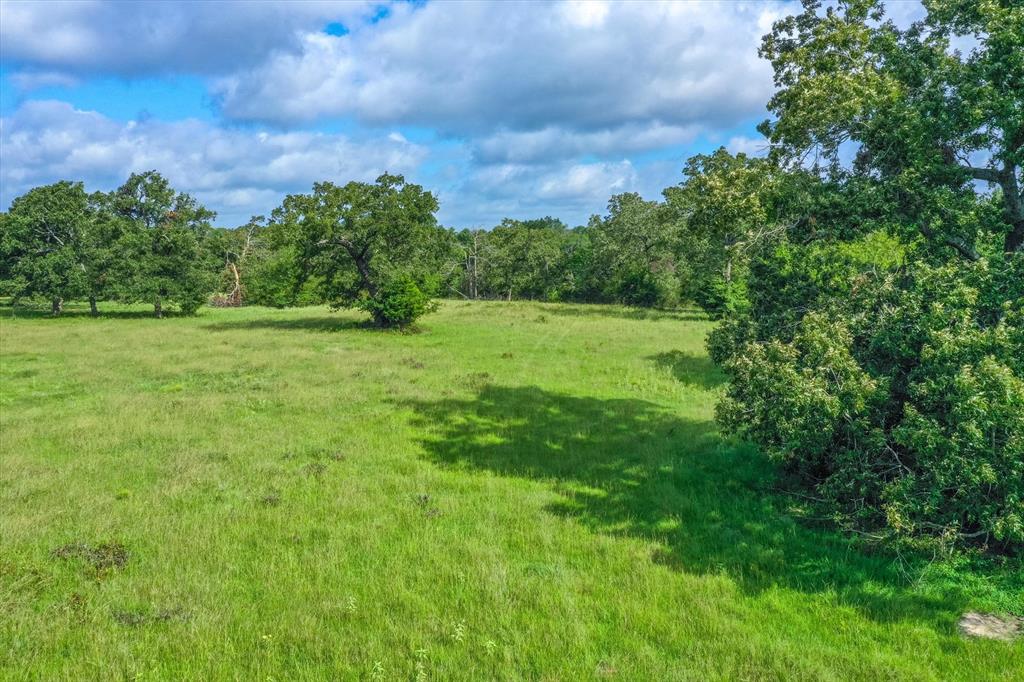 100 (+/-) Acres Fm 773 Property Photo 28