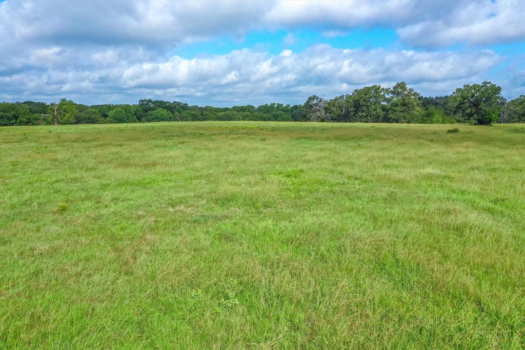 100 (+/-) Acres Fm 773 Property Photo 29