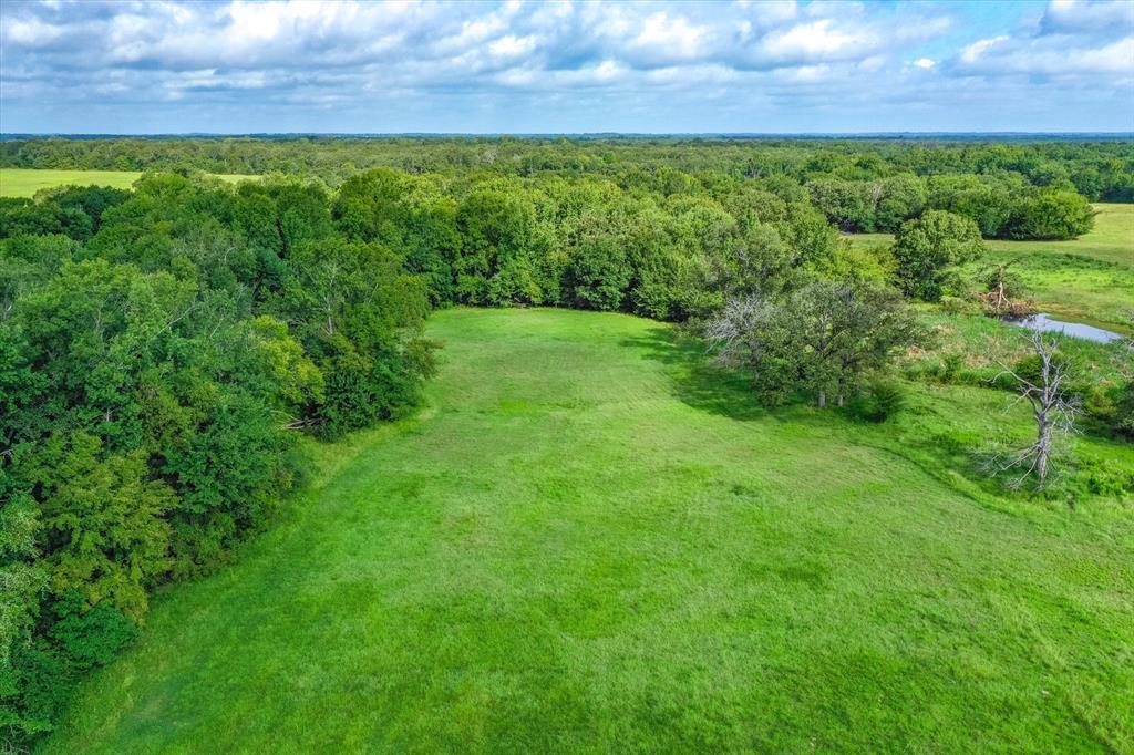 100 (+/-) Acres Fm 773 Property Photo 30