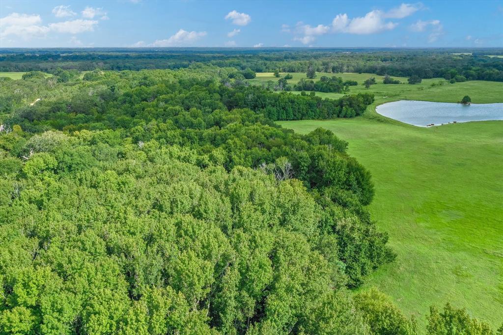 100 (+/-) Acres Fm 773 Property Photo 32