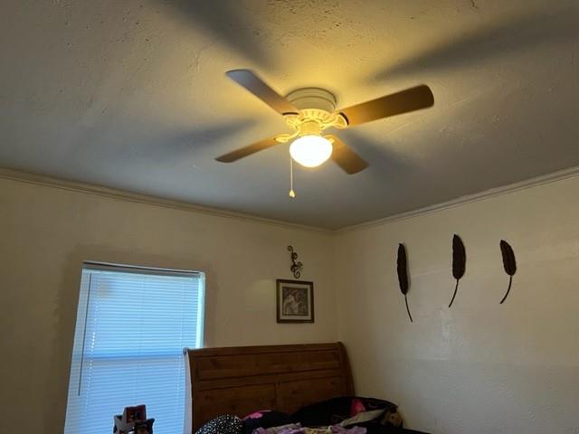 2437 Nicholson Drive Property Photo 9