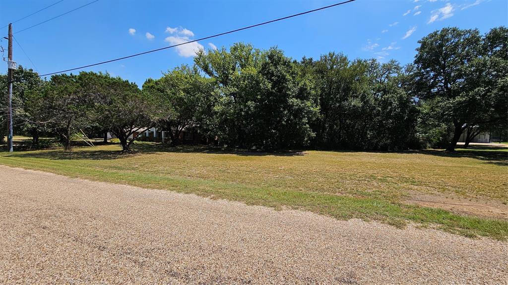124 Oak Springs Boulevard Property Photo 37