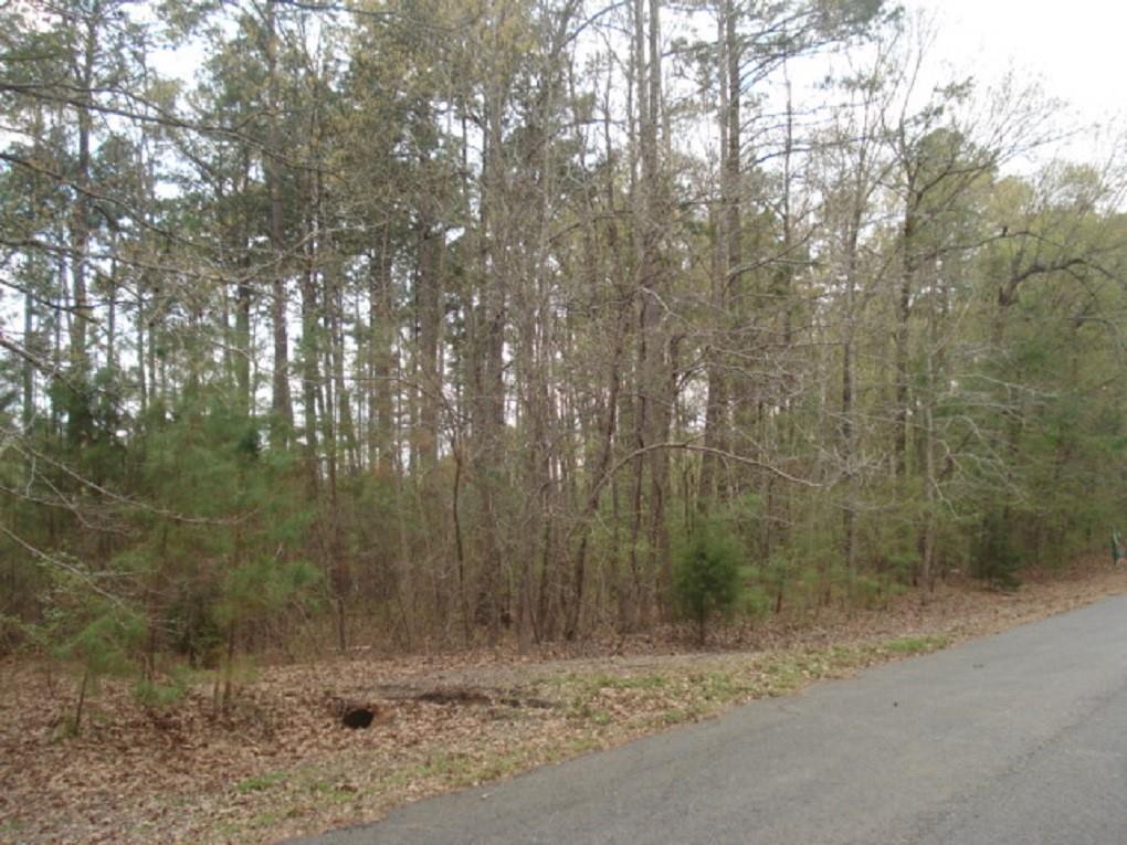 0 Mirkwood 96 Property Photo 2