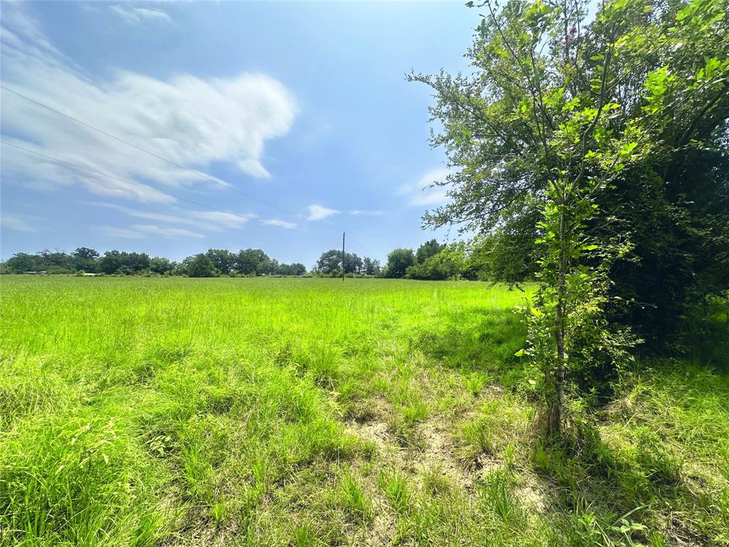 14229 Se County Road 4250 Property Photo 7
