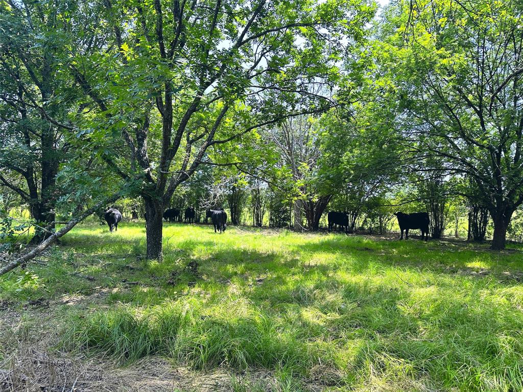 14229 Se County Road 4250 Property Photo 8