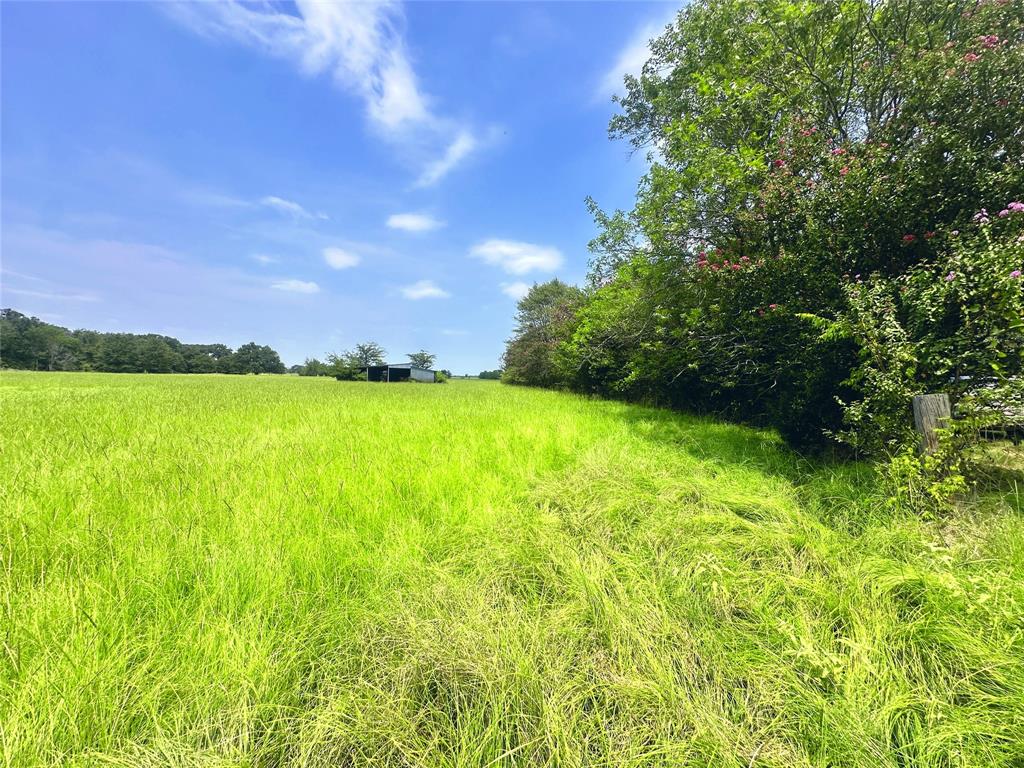 14229 Se County Road 4250 Property Photo 10