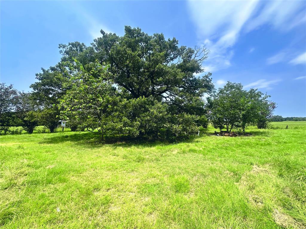 14229 Se County Road 4250 Property Photo 11