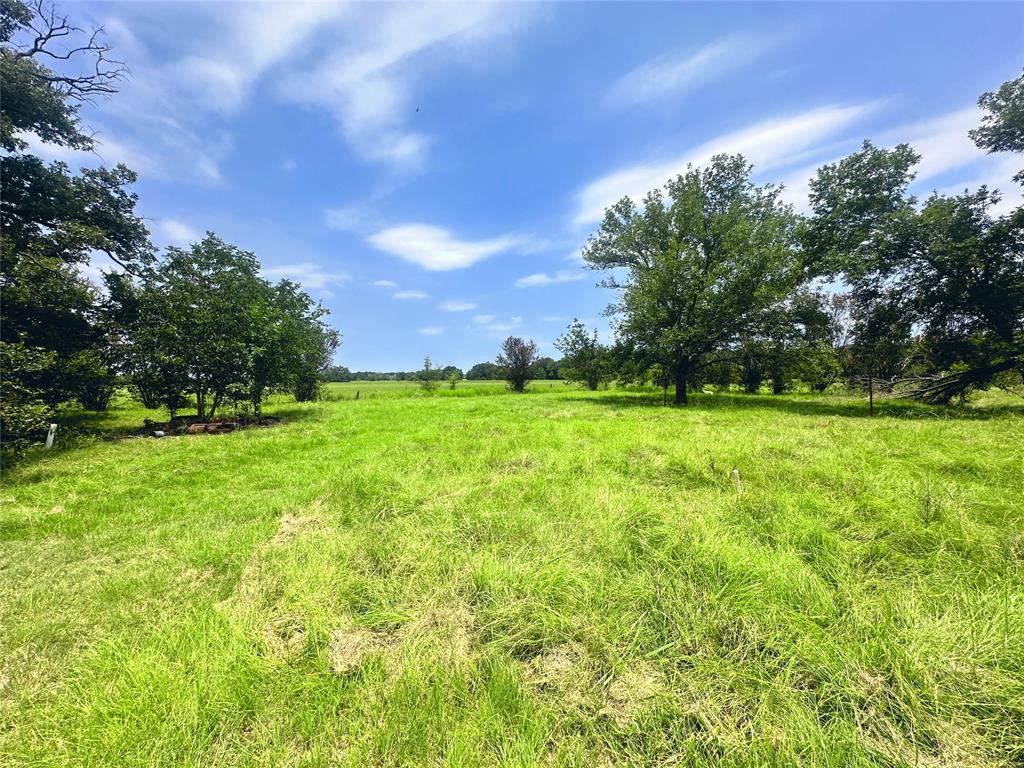 14229 Se County Road 4250 Property Photo 12