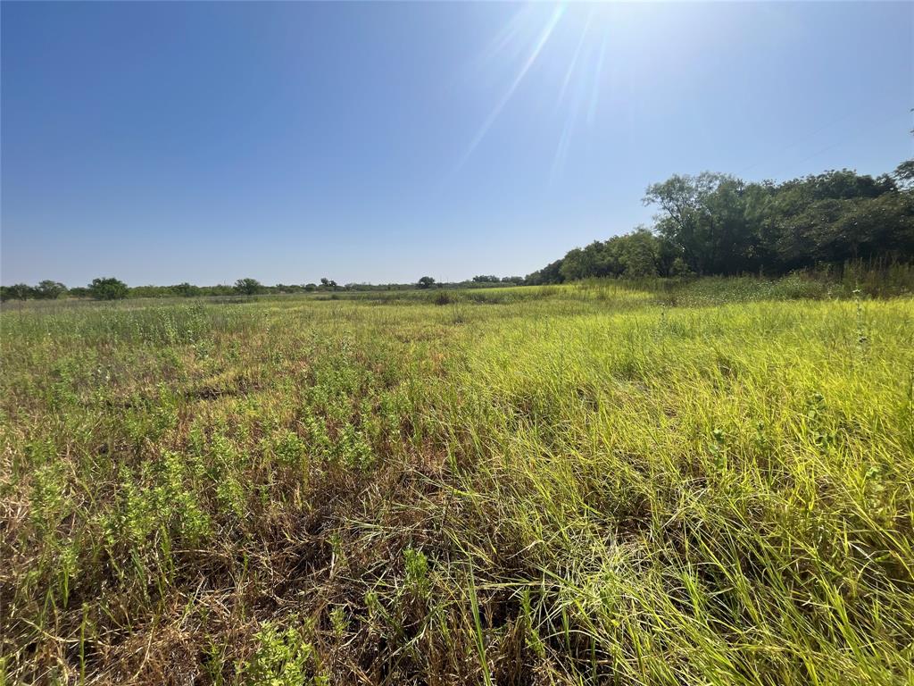 5351 County Road 499 Property Photo 10