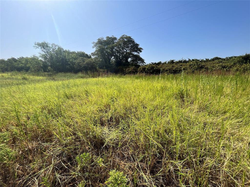 5351 County Road 499 Property Photo 11