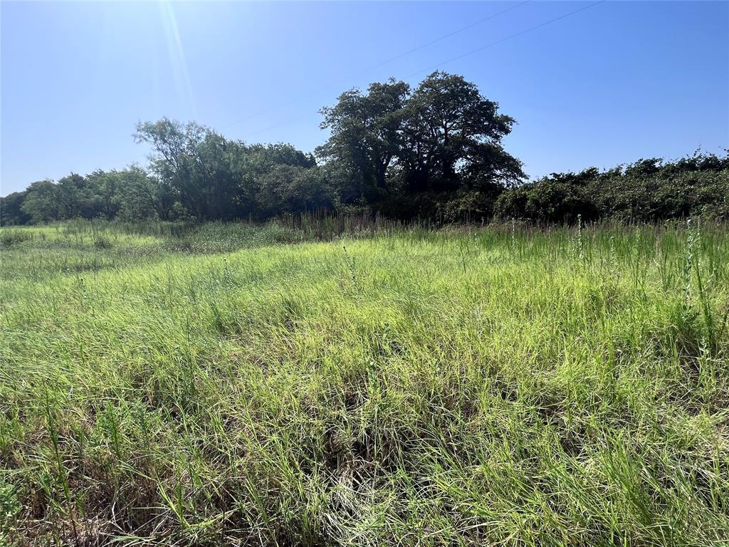 5351 County Road 499 Property Photo 13