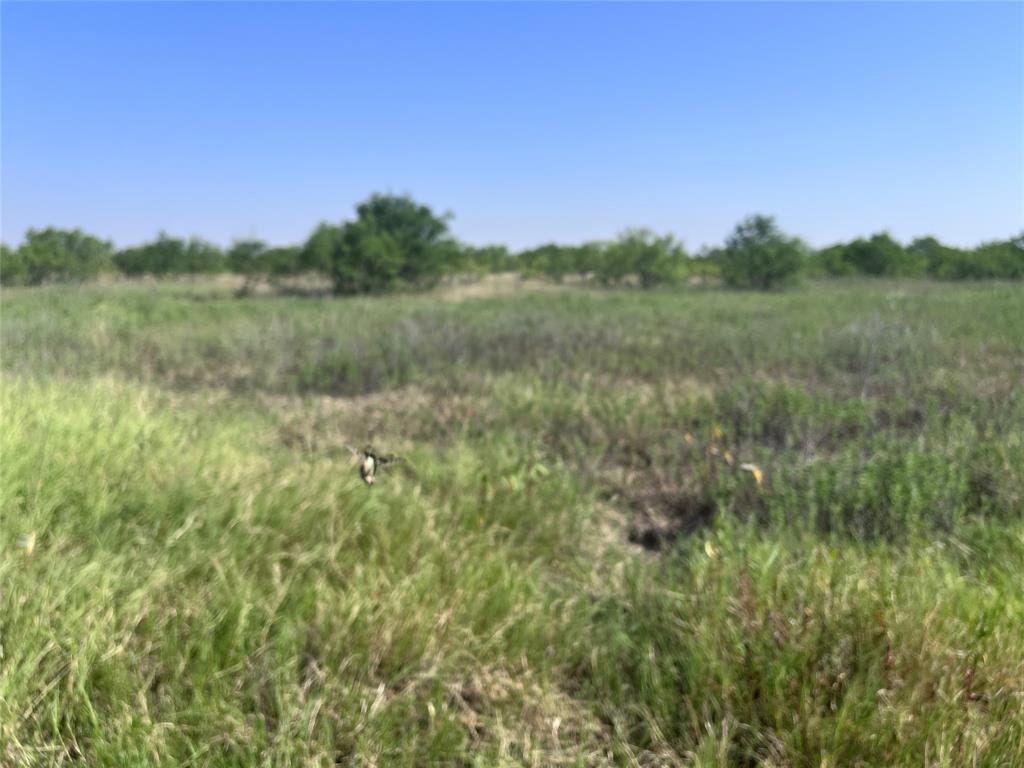 5351 County Road 499 Property Photo 15