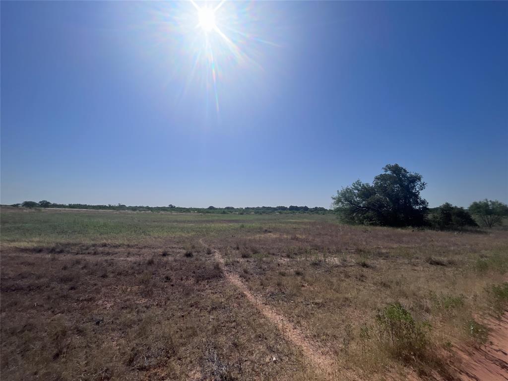 5351 County Road 499 Property Photo 19