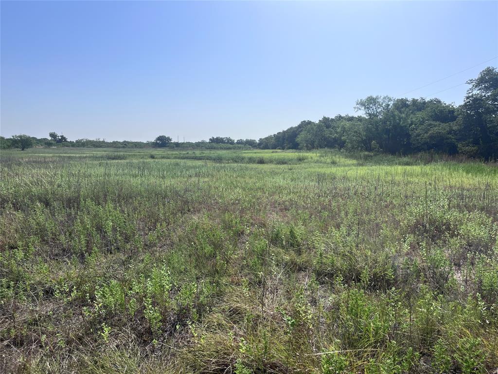5351 County Road 499 Property Photo 21