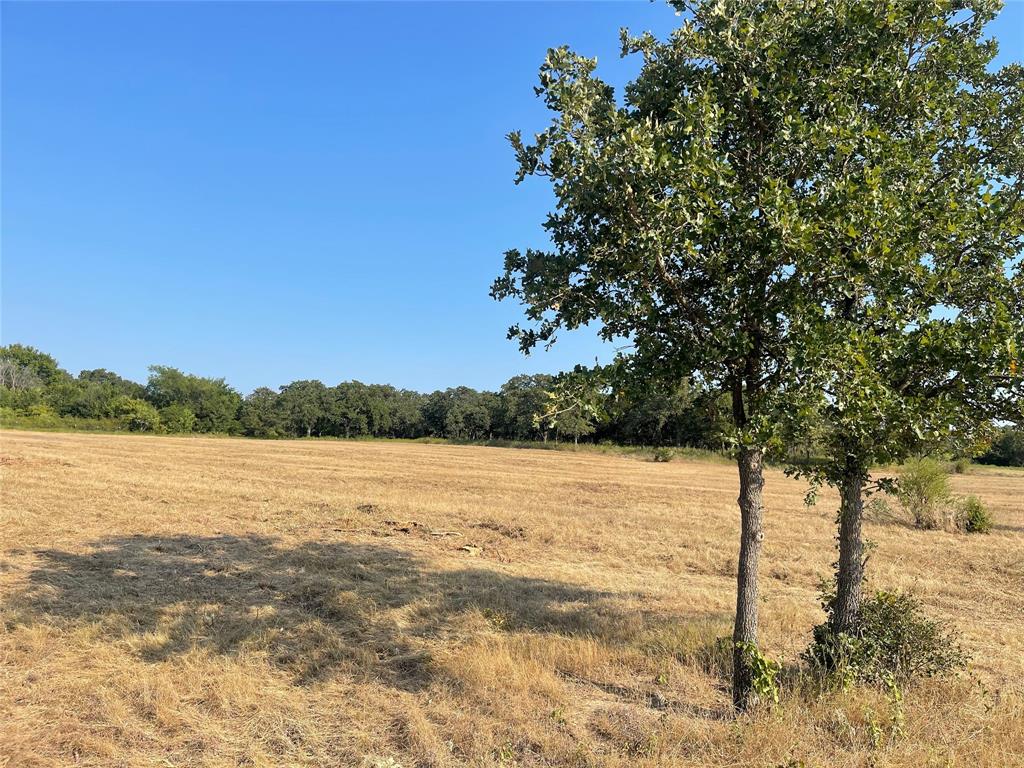 Tbd Cr 3850 Property Photo 14