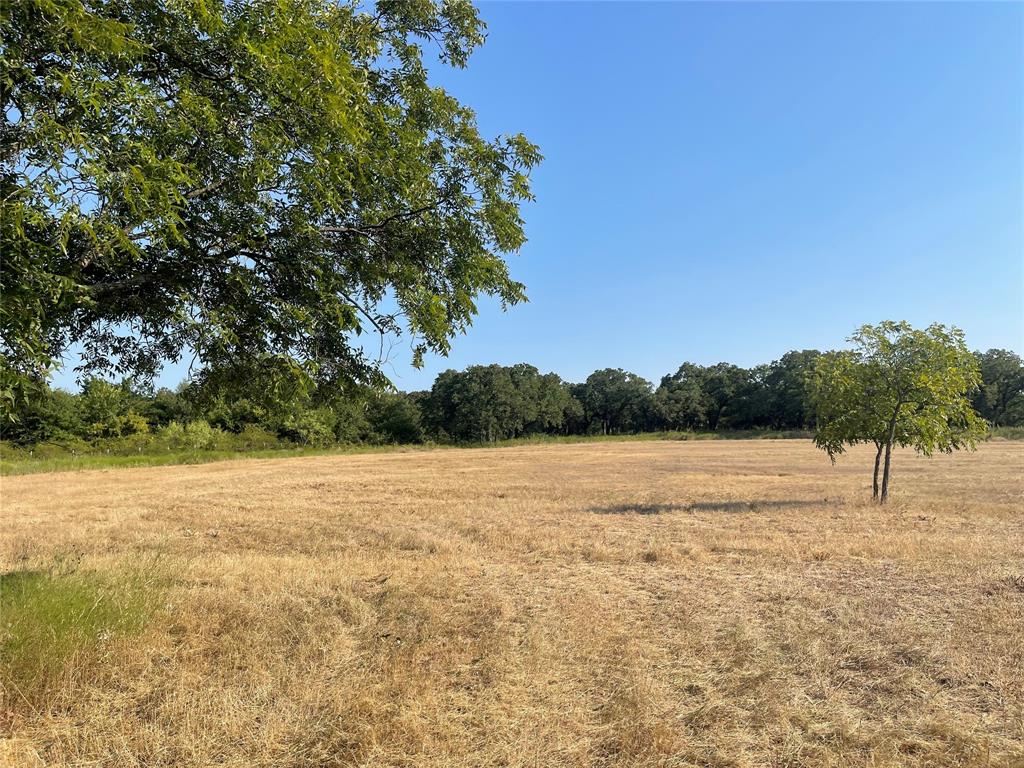 Tbd Cr 3850 Property Photo 15