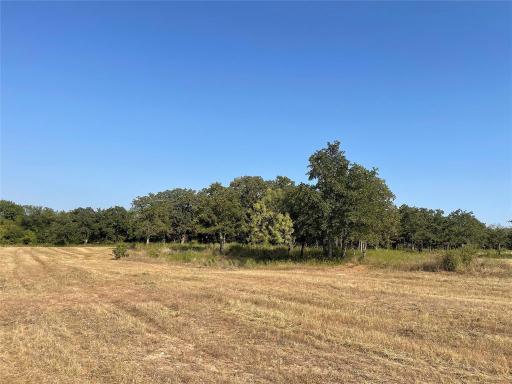 Tbd Cr 3850 Property Photo 18