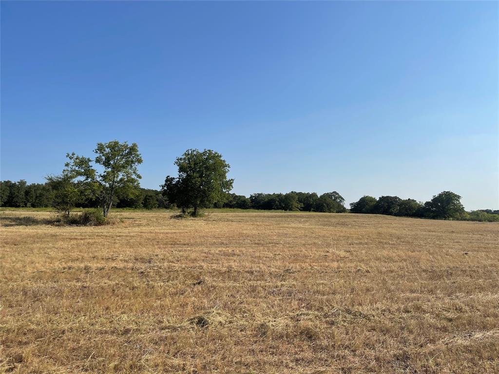 Tbd Cr 3850 Property Photo 19